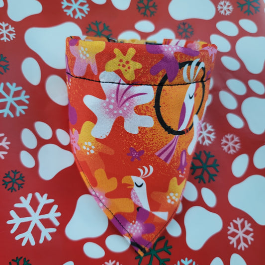 Toucan Tropical (Over the Collar) // Tropical Cat Bandana // Gift for Pets