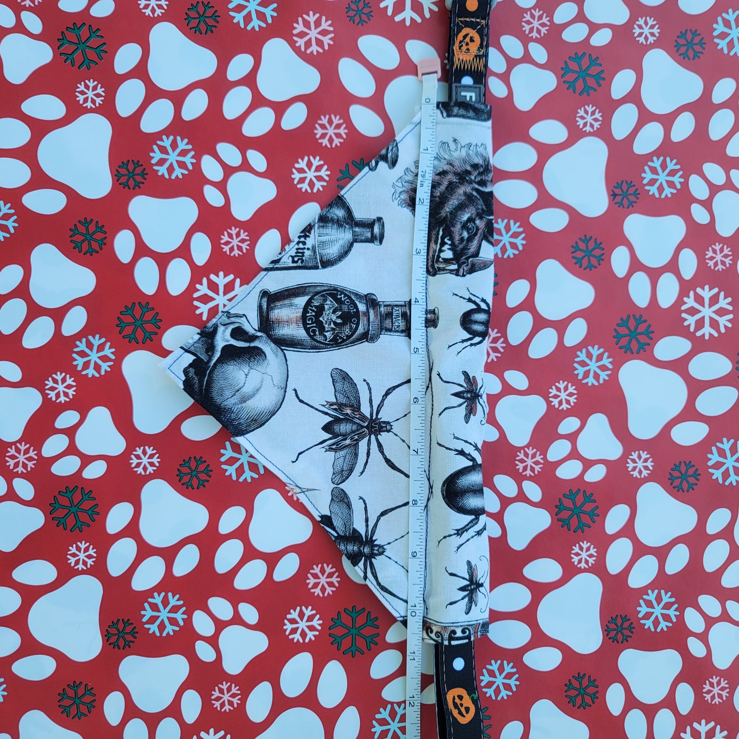 Alchemy Spooky Gothic Medium Dog Bandana (Over the Collar) // Halloween Cat Bandana // Gift for Pets