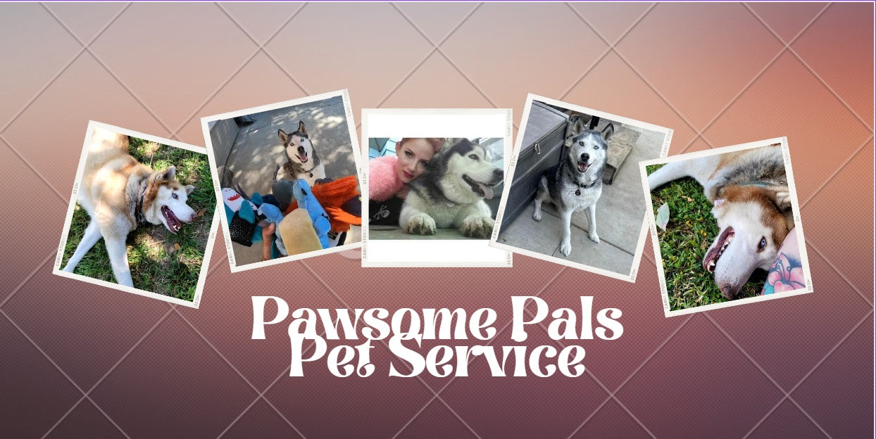 Paw pals best sale pet services