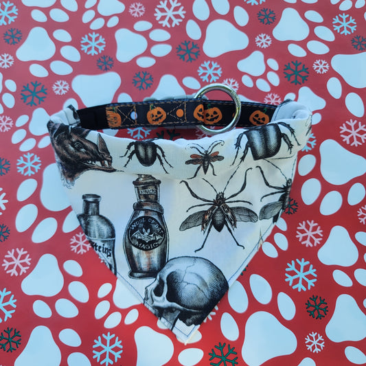 Alchemy Spooky Gothic Medium Dog Bandana (Over the Collar) // Halloween Cat Bandana // Gift for Pets
