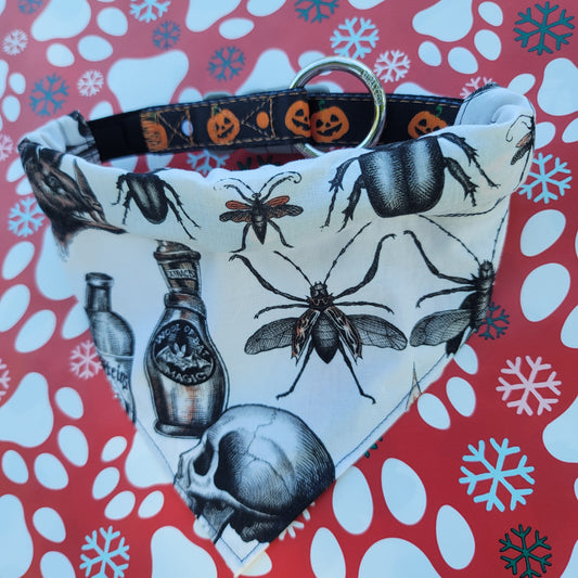 Alchemy Spooky Gothic Medium Dog Bandana (Over the Collar) // Halloween Cat Bandana // Gift for Pets