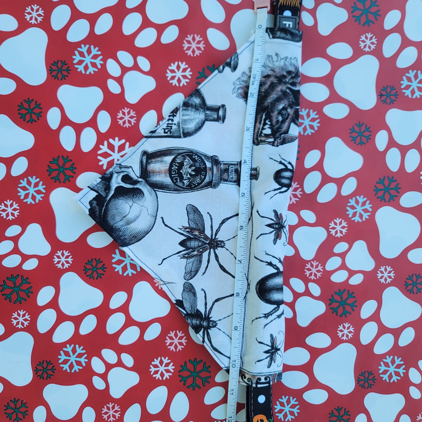 Alchemy Spooky Gothic Medium Dog Bandana (Over the Collar) // Halloween Cat Bandana // Gift for Pets